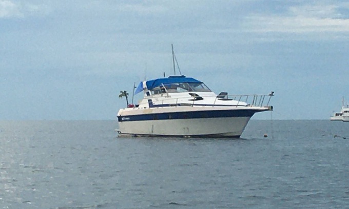 Islamorada Boat Rental | “ The Ultimate redneck” boat experience