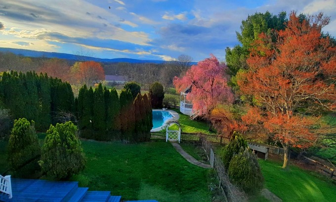 Philomont Bed & Breakfast | The Van Gogh Room in Villa