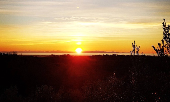 Guardistallo Villa | The view. Villa with sea view pool 10pp