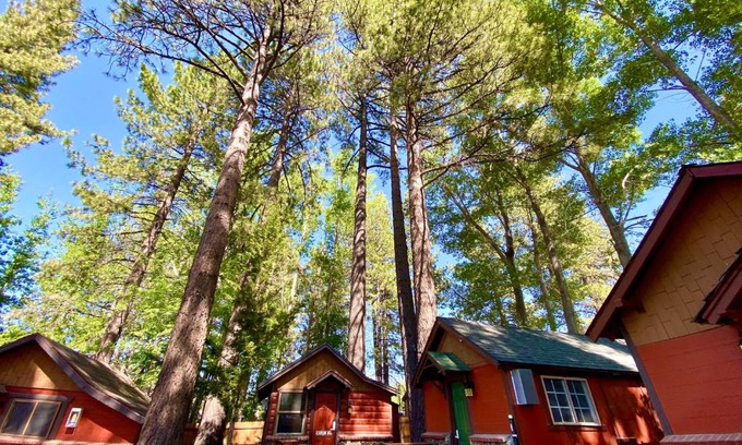 The Village Hotel | The Village Cabins