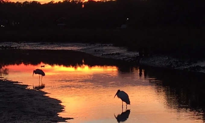 South Waterfront Park House | The Waters Edge 2/1 with Boat Dock in back yard