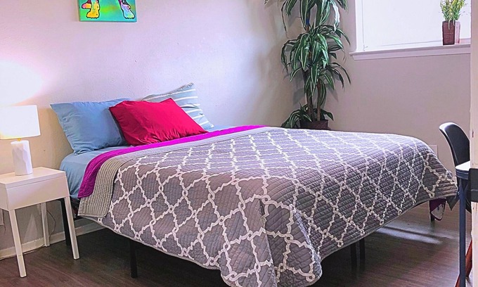 Denton Apartment | Theater apartment/DENTON/POOL/GYM/FREE PARKING