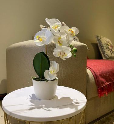 Emalahleni Apartment | Thorntree Self Catering Apartment, Witbank