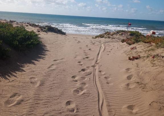 Colonia Chapadmalal Apartment | Tiny House en El Marquesado Playas del Sur de Mar del Plata