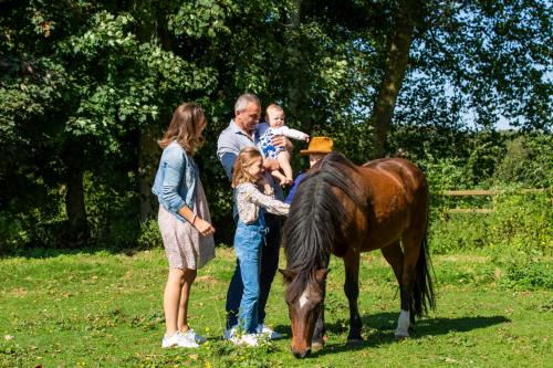 Walincourt-Selvigny House | Tomates cerises à la ferme de Sorval