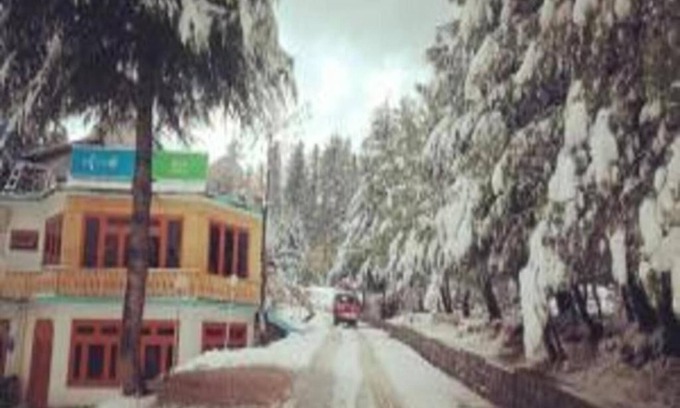 Shogran Hotel | Tourist Inn Hotel Shogran