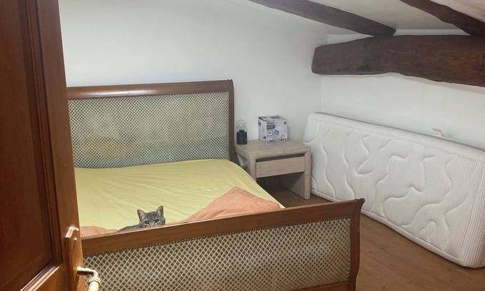 Lezan House | Town house near Anduze la bambouseraie in the Cévennes