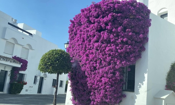 Guadalmina Cottage | Townhouse in Marbella Guadalvillas