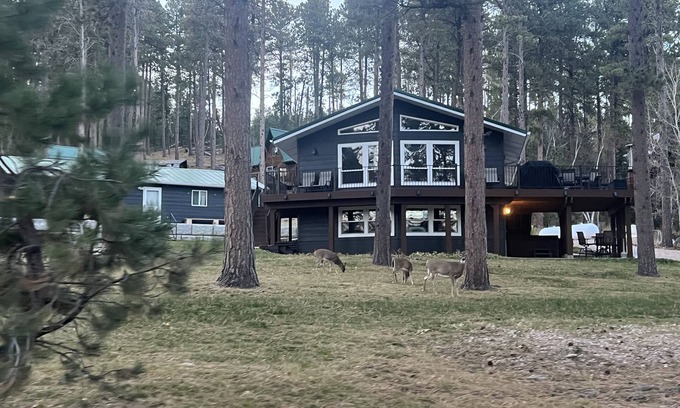 Lead Cabin | Trailer & Parking Friendly, 24x56 Garage, 5-bedroom, 3-bath, Newly renovated!