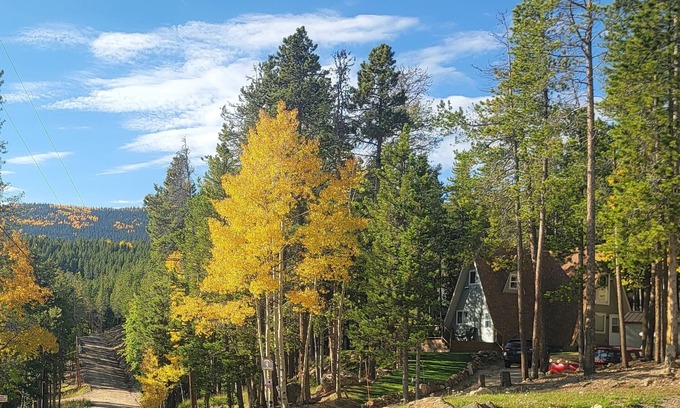 Evergreen House | Tranquil & idyllic 3BR/2BA, A-Frame Cabin, w/WiFi in beautiful Evergreen,
