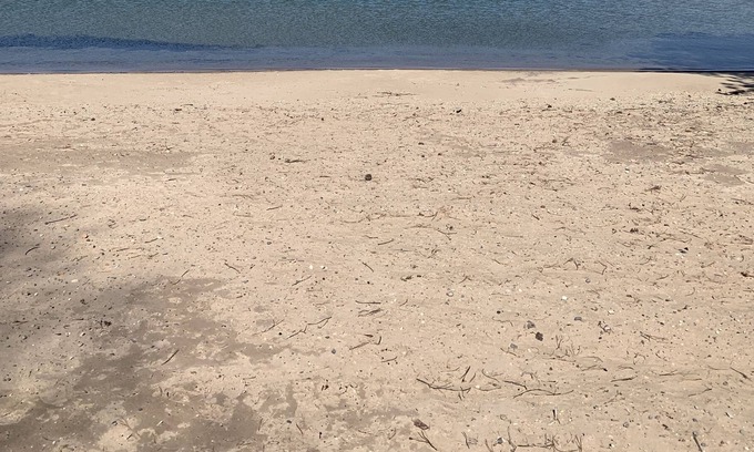 Suttons Bay Cottage | Travelers Retreat! Cozy cottage walkable to the beach and village adventures