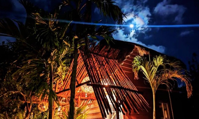 Isla Holbox House | Tree-House 3 min walk to beach/AC/king Bed/WIFI