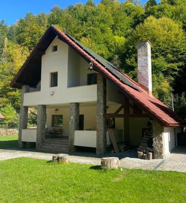 Rau Sadului House | Trei Tulnice