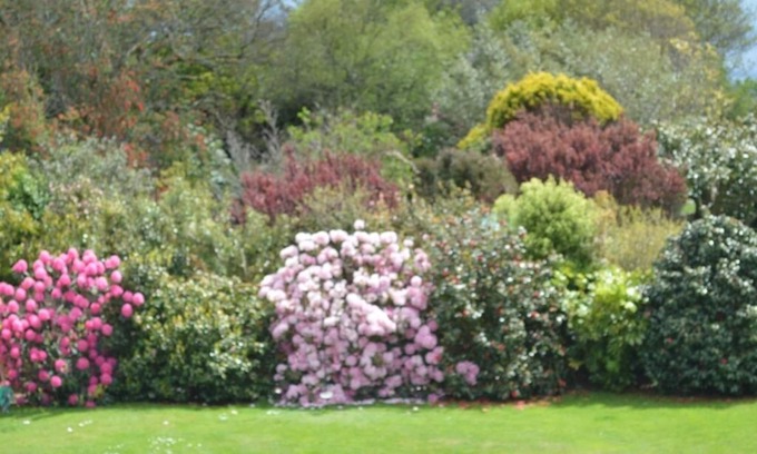 Mawnan Smith Hotel | Trelawne Hotel