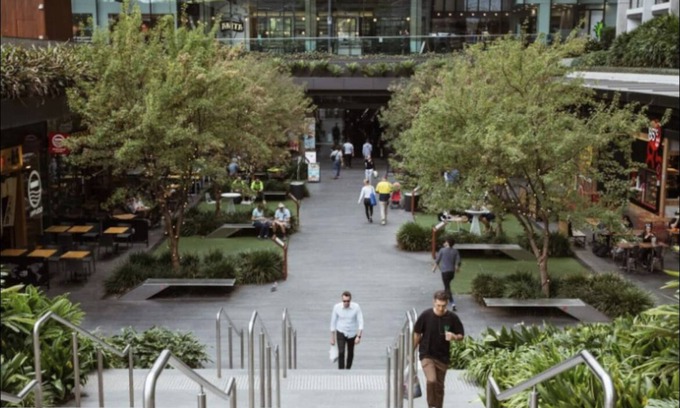 Chippendale Apartment | Trendy filled 2 bedroom innercity pad