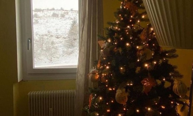 Bosco Chiesanuova Apartment | Trevisan Malga San Giorgio 6