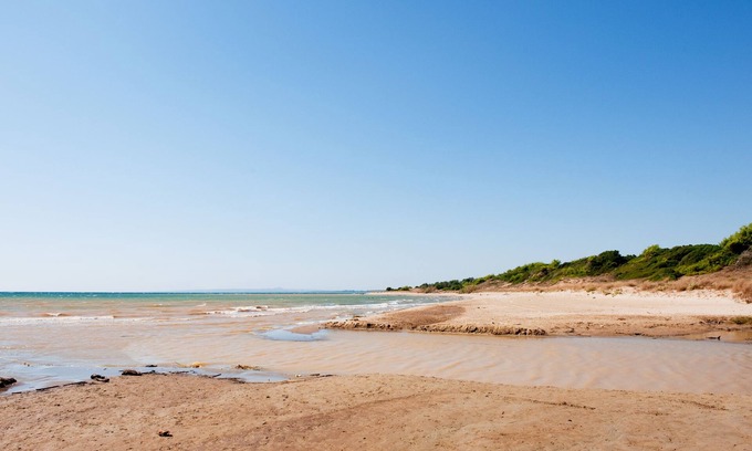 Kardamas Apartment | Trikalioti's Lush Estate Apt Arethousa