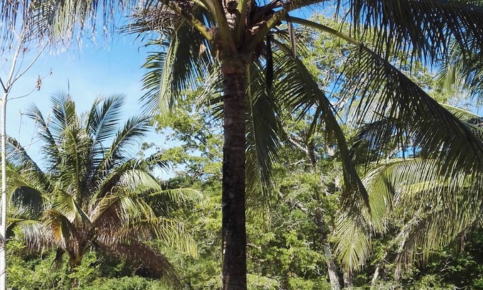 Pantai Tengah RV Rental | Tropical Eco Camping