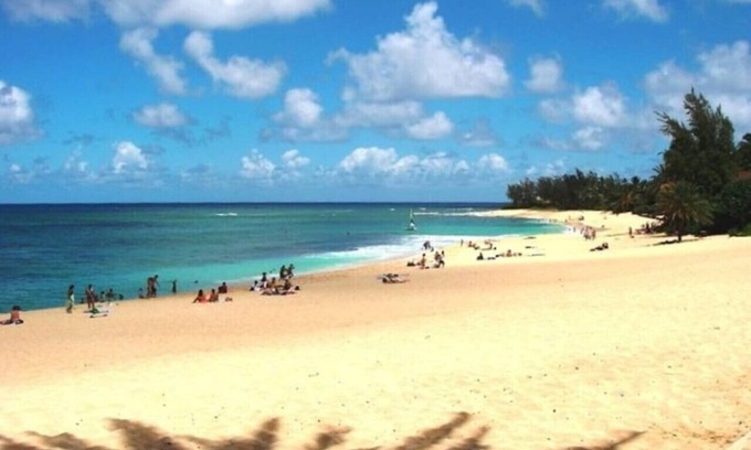 Pupukea Condo | Tropical one bedroom getaway