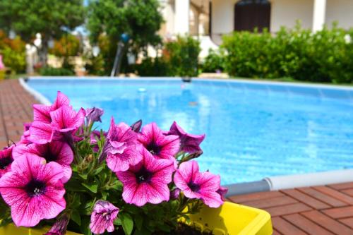 Cisternino House | Trullo Suite