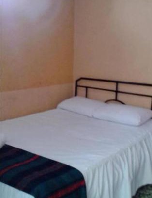 Comas House | Tulipaneslima