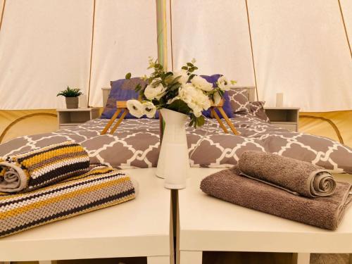 New Forest District Other | Twinkle Bell 4, Luxury Bell Tent with Firepit