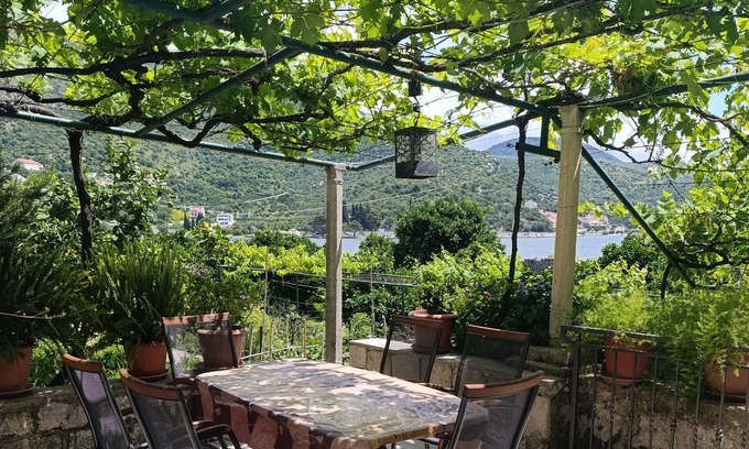 Zaton Apartment | Two bedroom apartment near beach Zaton Mali, Dubrovnik (A-8997-a)