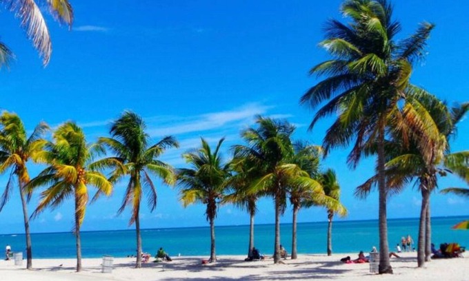 Key Biscayne Apartment | Two Bedroom with Pool minutes from the Beach -