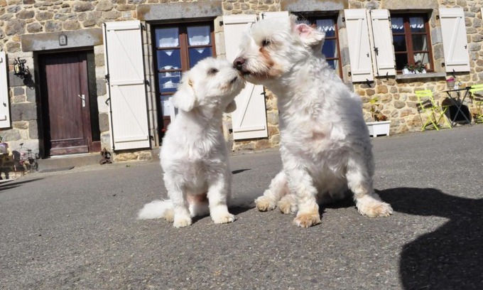 Irodouer Bed & Breakfast | Ty Daou gwez