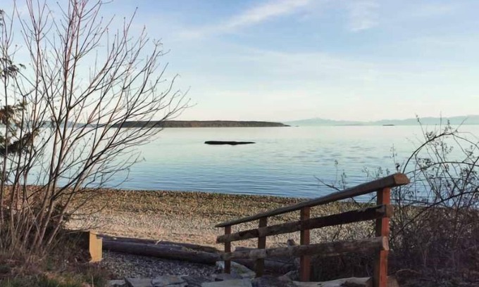 Powell River Apartment | U1 Seaside Serenity: Seal Bay Glamping Retreat