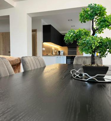 Hodonin Apartment | Ubytování U Františka