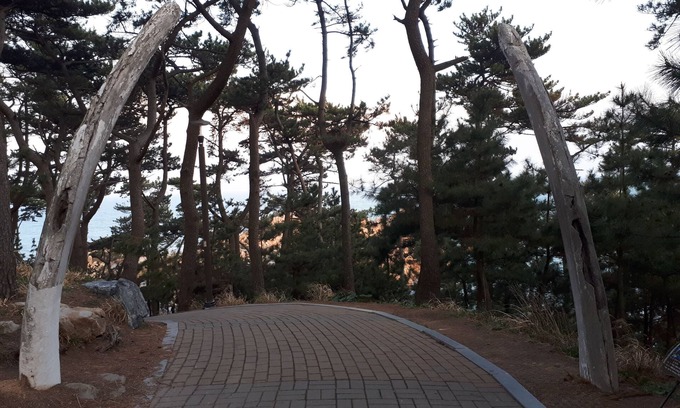 Dong-gu House | Ulsan Guest House BaehoHanmaru