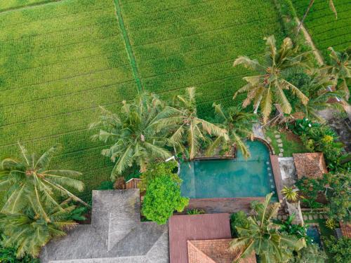 Sebatu Resort | Uma Linggah Resort by Puri Signatures