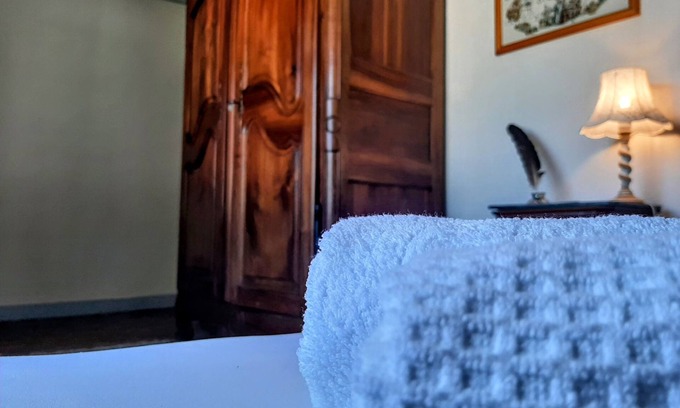 Buzet-sur-Baise House | Un Air de Famille - Country house with swimming pool