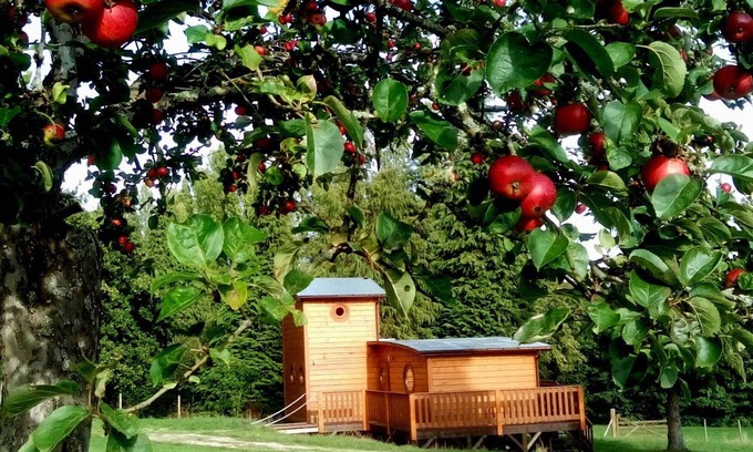 Radon Cottage | Unique chalet amidst nature, pets welcome