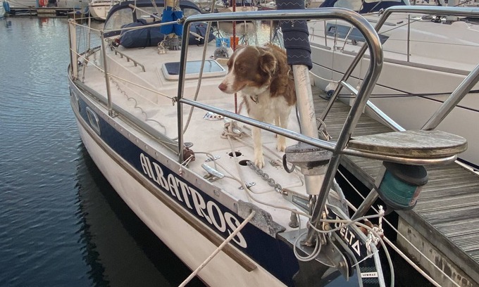 Ouddorp Boat Rental | Unique Stay on a Moored Sailing Yacht