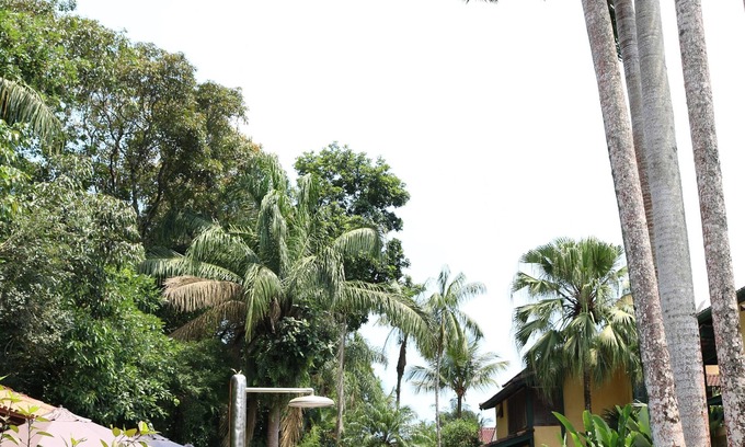 Riviera de Sao Lourenco House | UNMISSABLE CARNIVAL PACKAGE! THE IDEAL PLACE FOR YOUR FAMILY TO RELAX