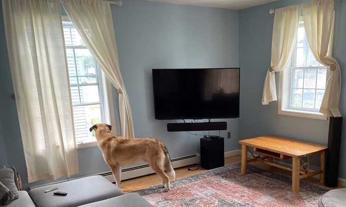 Old North End Condo | Updated downtown BTV condo with lake view!