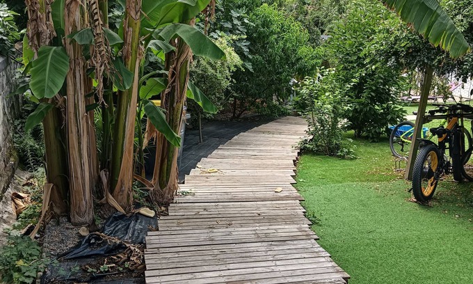 Saumur House | Urban Holiday Home with Tree-Filled Garden