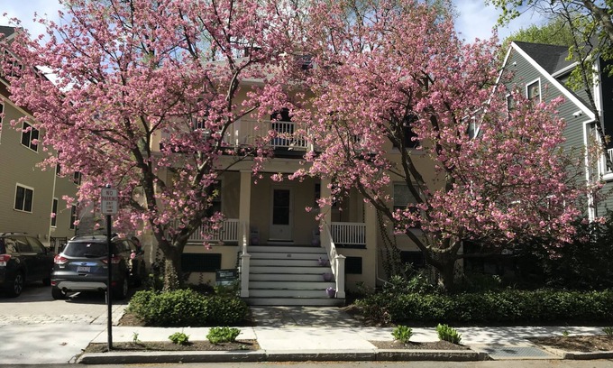 Allston House | Urban/Suburban 4-bedroom, 2-bath House for Summer Rental in Brookline, MA
