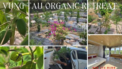 Phu My Apartment | V A C Haven Viet Nam 2