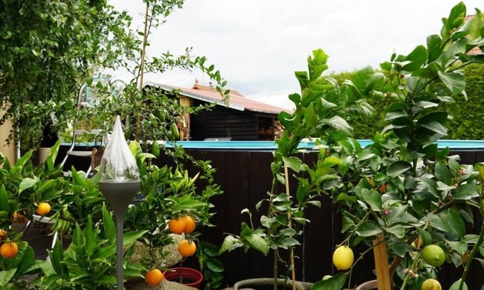 Lindenberg Apartment | Vacation apartment/apartment for 2 guests with 26m² in Neu Lindenberg (150908)