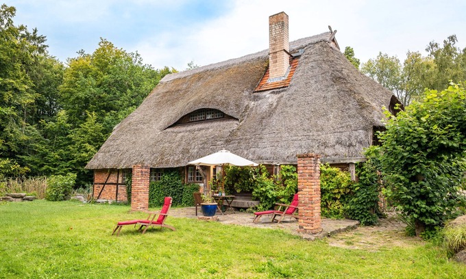 Kalkhorst Apartment | Vacation apartment 'Charming apartment in the natural forest'