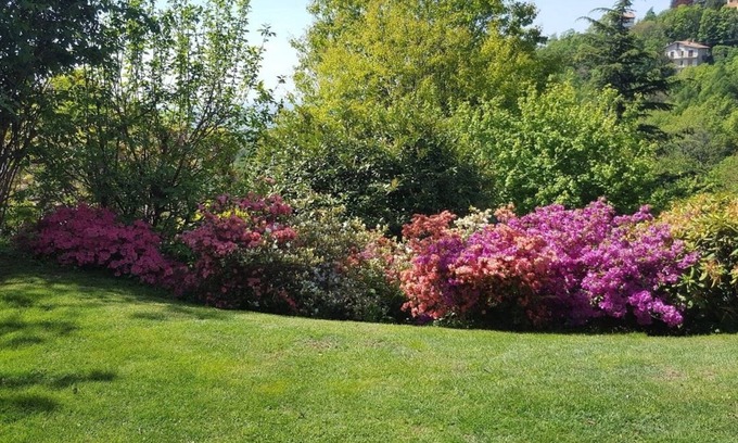 Brunate Apartment | VACATION HOME LE VIOLETTE