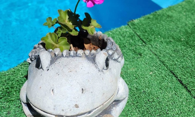 Arucas House | Vacation Home "Villa Layo" with Sea View, Private Pool & Wi-Fi