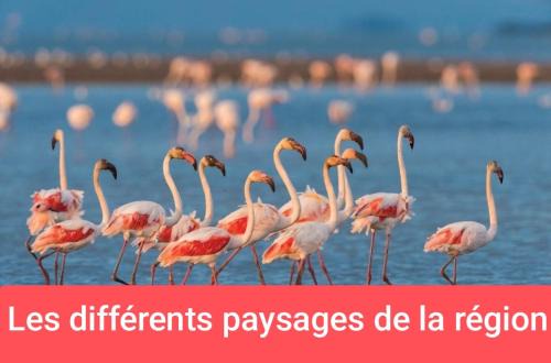 Carnon-Plage Other | Van aménagé 3 couchages sans SANITAIRE proche de la plage
