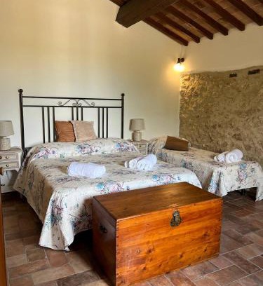 Colle di Val d'Elsa Apartment | Vecchio Ciliegio - Casale Toscano tra Firenze e Siena