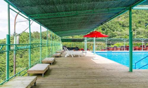 Hadong Other | Venetian Terra KM LAND VTKL 하동 금오산 랜드 숲 캠핑장