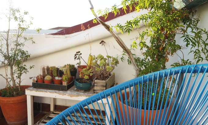 Aveiro House | VIC Aveiro Arts House