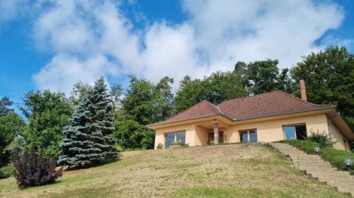 Wingen-sur-Moder House | Villa Bellevue - Chez Oma